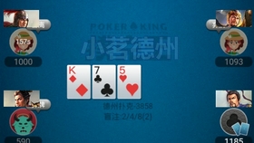 详细说明“wepoker专用辅助器-哔哩哔哩 