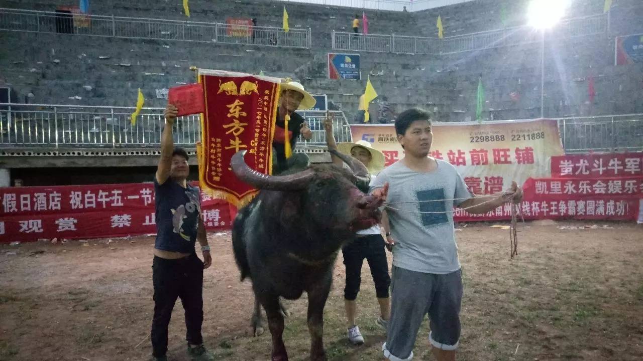3分钟教你科普“疯狂斗牛王透视挂!其实确实有挂