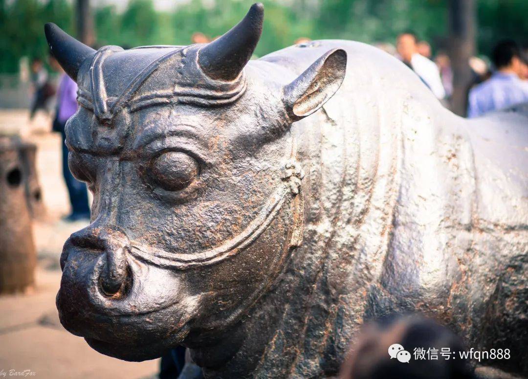 「热点资讯」老铁牛牛开挂先试用”(原来真的有挂)-知乎 