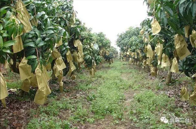 优选推荐“超级卡五星可以开挂吗”详细教程辅助工具