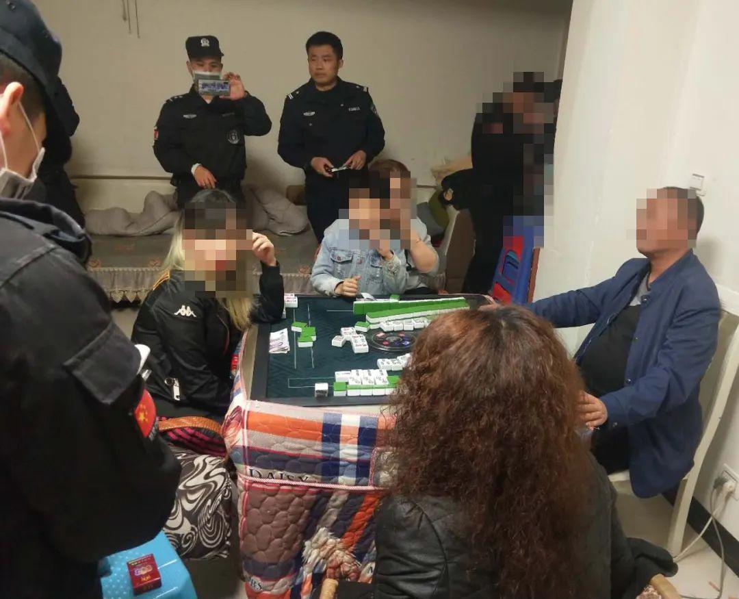 玩家必备教程哈哈贵阳捉鸡麻将开挂”(确实是有挂)-哔哩哔哩
