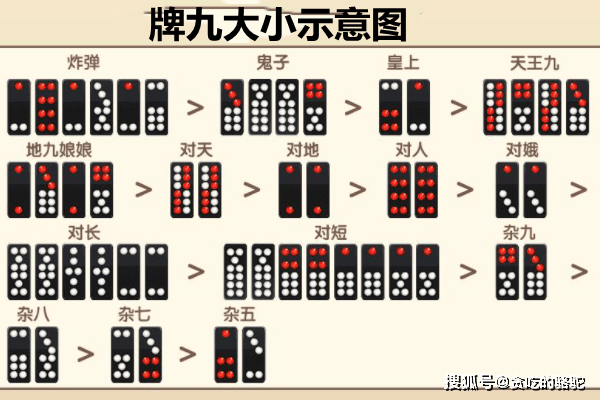 玩家必备攻略！排九牌普通分析仪多少钱,推荐5个购买渠道