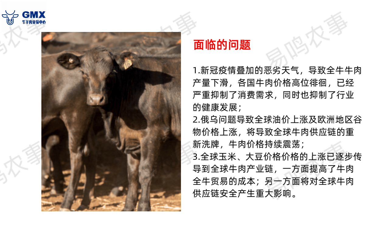 教程辅助“玩牛牛真的可以赢到钱吗 一《我来教教你怎么赢 》