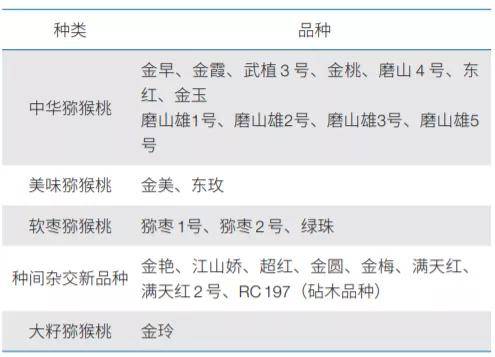 5分钟教会你“三公大吃小拿大牌五条口诀大揭秘《新浪科技 讲解窍门》