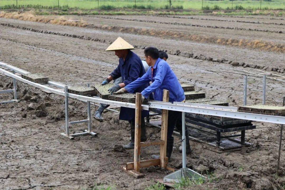 实测分享“先进农村设备多少钱《新浪科技 讲解窍门》