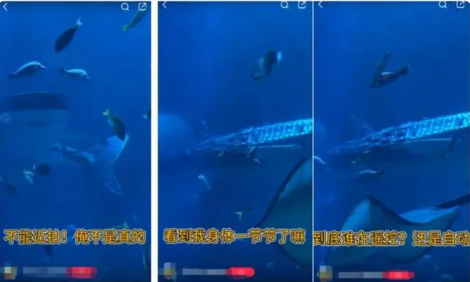 教程辅助“鱼儿机作弊打什么鱼都死的漏洞+《详细教程 新浪科技》