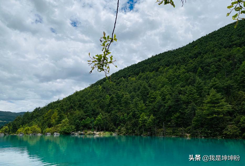 教程辅助“目前先进的金花设备一《我来教教你怎么赢 》