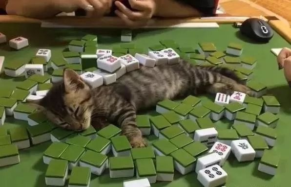相约麻将猫腻秘籍真的有挂(确实真的有挂)