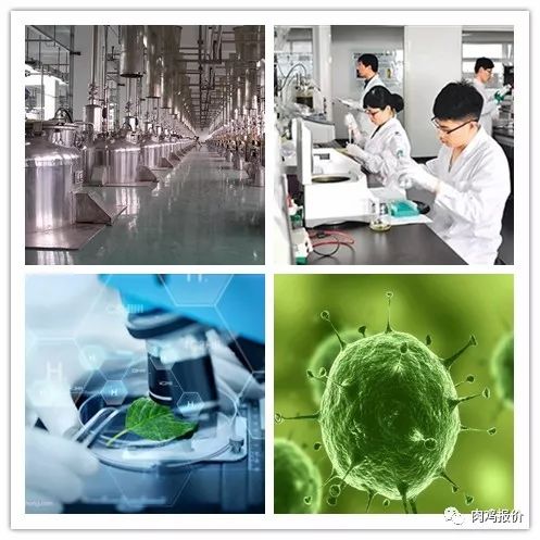 5分钟教会你“x光透视设备具生产厂家_《爱问知识人 使用说明》