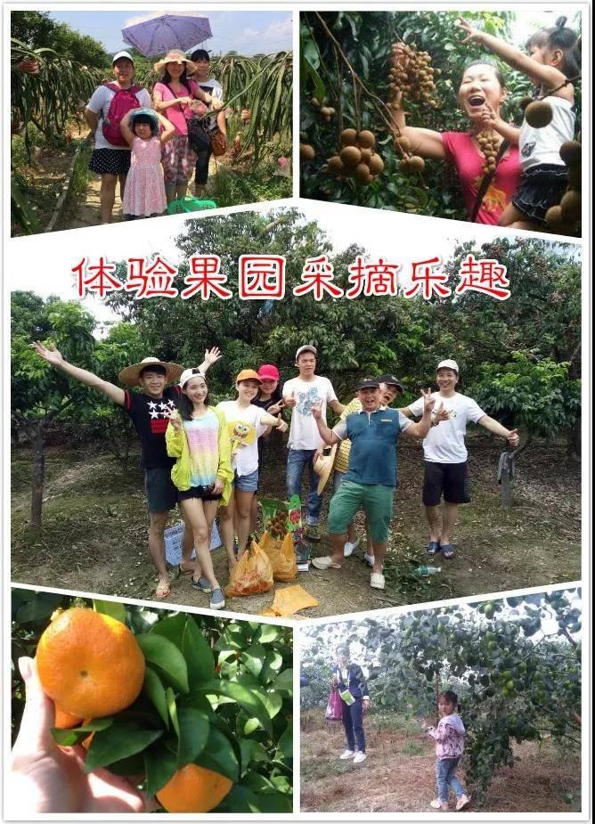 手机打广东麻将红中变究竟到底有挂吗(真的有挂确实有挂)