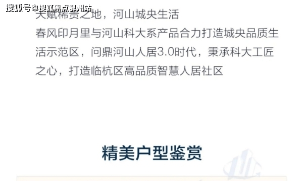 给大家爆料一下打对子简单易学技巧一《我来教教你怎么赢 》