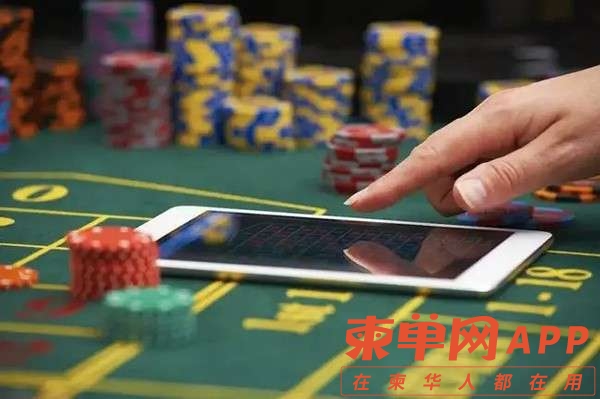 厉害了!打三公搞假一般都有哪些设备仪器产品一《我来教教你怎么赢 》
