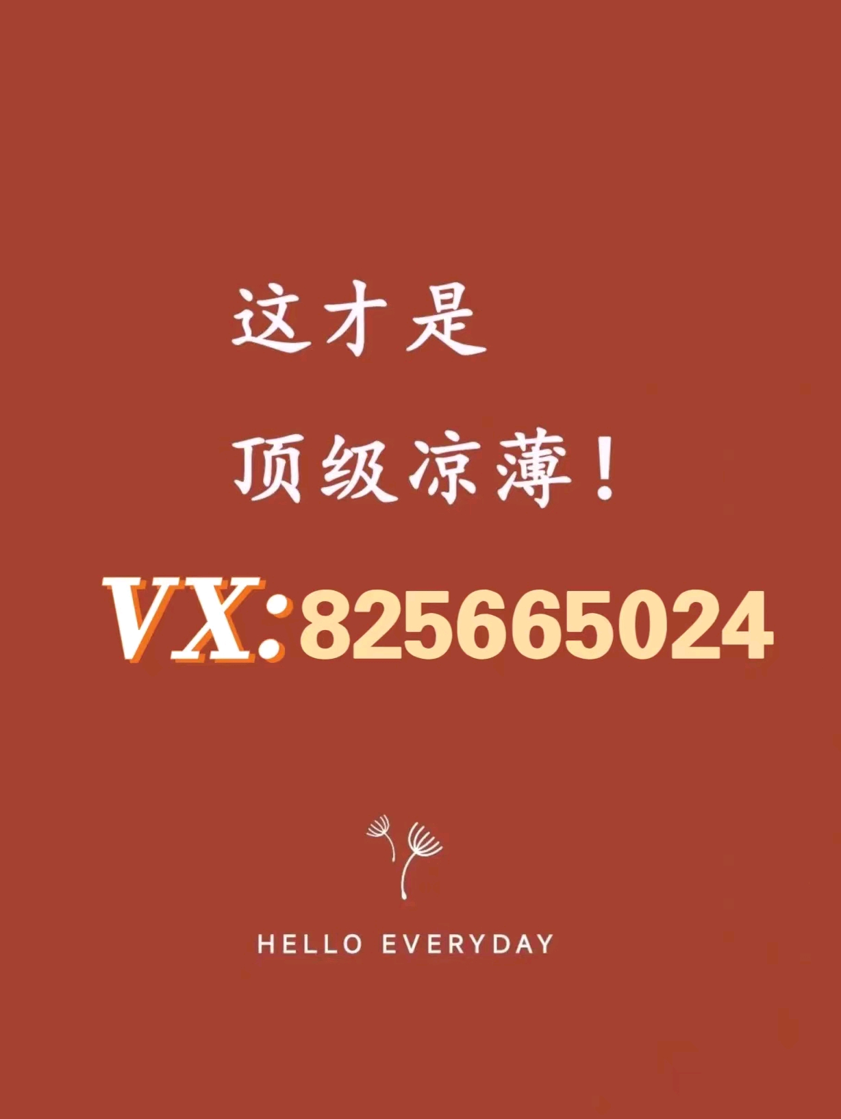 三分钟了解&quot;金花有什么产品高科技好用一《我来教教你怎么赢 》