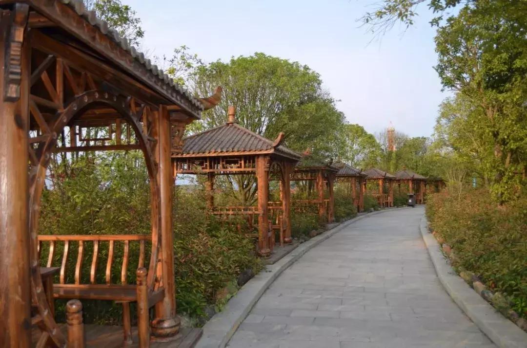 哈哈贵阳捉鸡麻将手机其实是有挂的(确实是有挂的)
