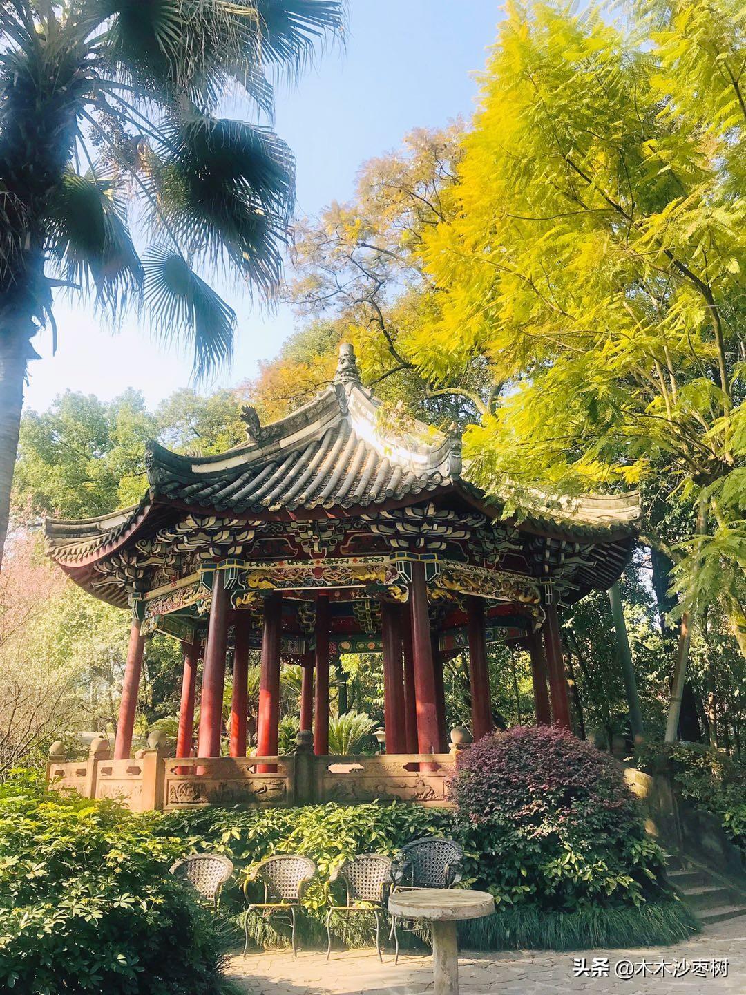 手机情怀麻将究竟有没有挂(确定是有挂)