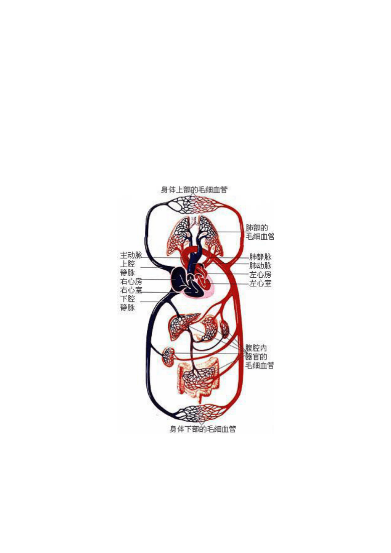 火爆全网!普通牌金花都有什么仪器设备_《爱问知识人 使用说明》
