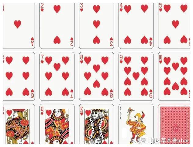 分享决窍“实用斗牛普通扑克牌识别器《详细教程 新浪科技》