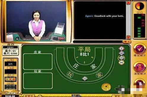 玩家必备攻略“教你三公十赌九赢的工具 《新浪科技 讲解窍门》
