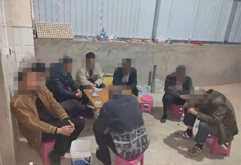 3分钟教你科普“必看科普扑克牌斗牛先进仪器_《爱问知识人 使用说明》