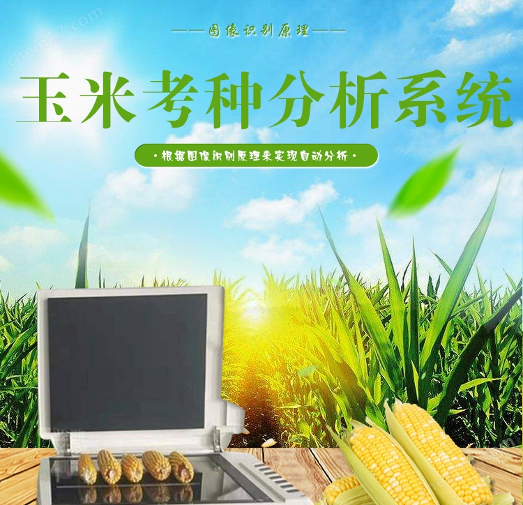 给大家爆料一下玉米1234分析机《详细教程 新浪科技》