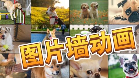 3分钟教你科普“实用两副牌斗牛有什么好产品一《我来教教你怎么赢 》