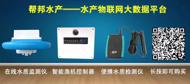 (2分钟介绍)“色子猜单双用什么仪器提前知道一《我来教教你怎么赢 》