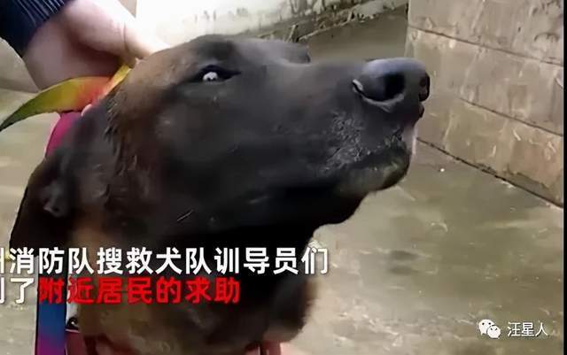 5分钟教会你“斗牛拿大牌三招工具讲解_《爱问知识人 使用说明》